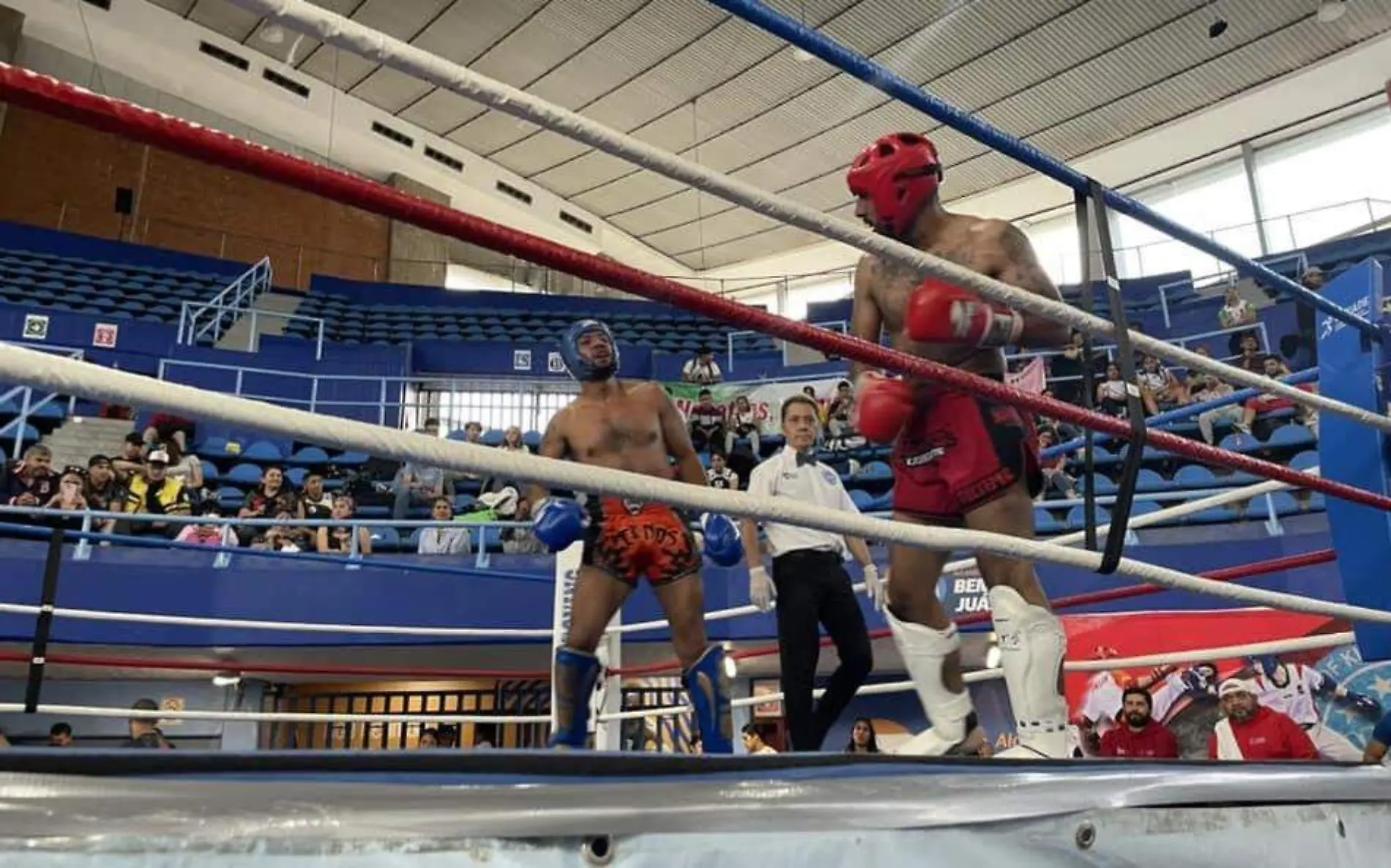 kickboxing-panamericano-brasil