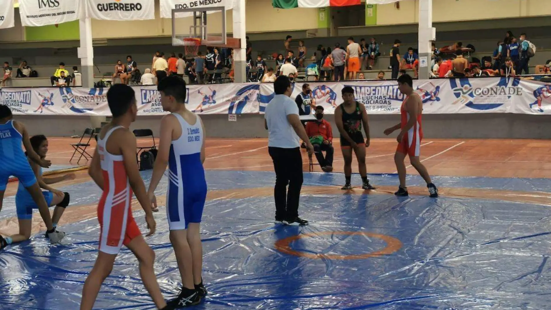 panamericano-juvenil-lucha-olimpica