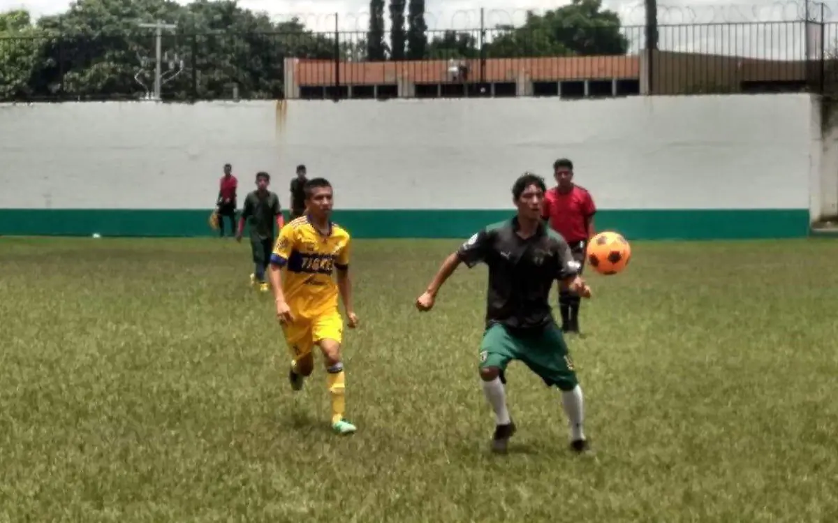 clasificados-liga-cuautla
