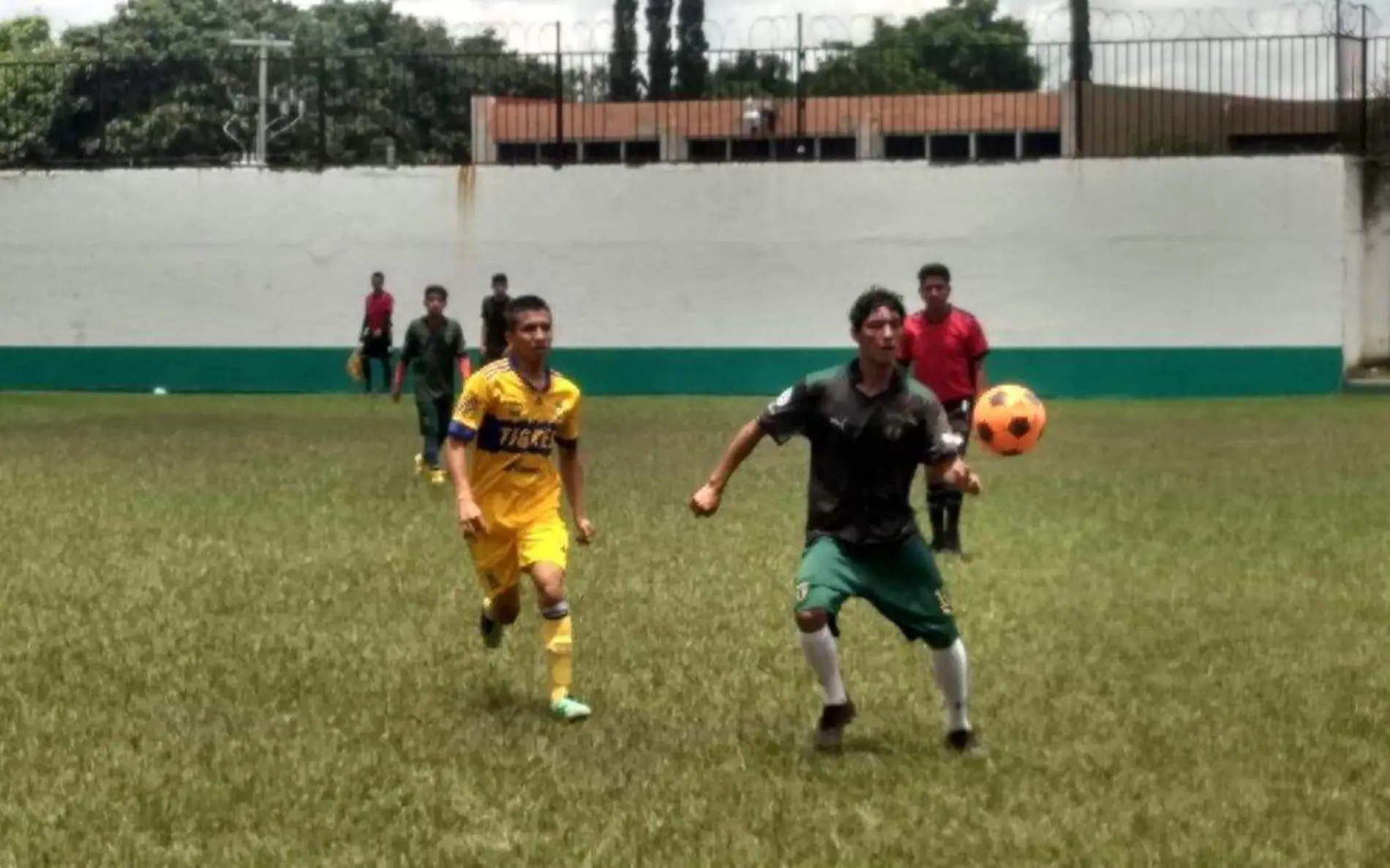 clasificados-liga-cuautla