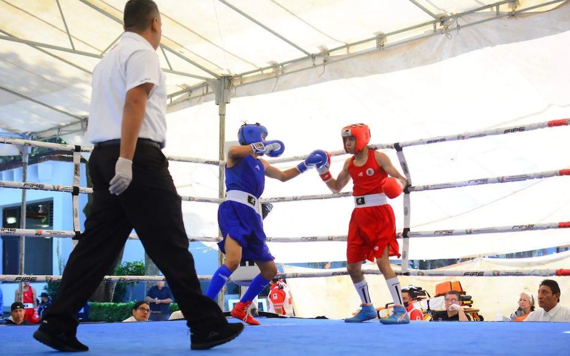 morelenses-nacional-junior-boxeo