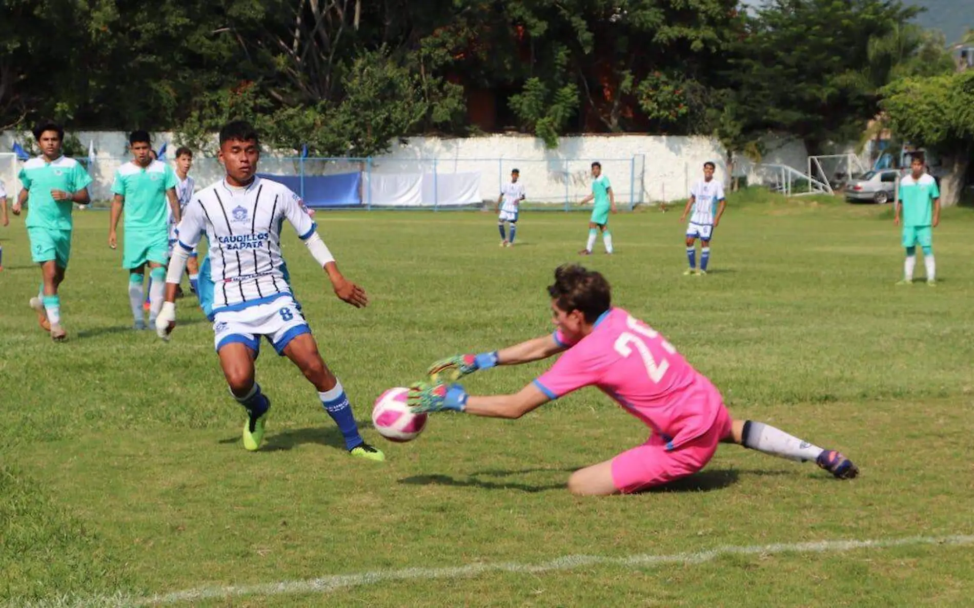 partido-halcones-tdp