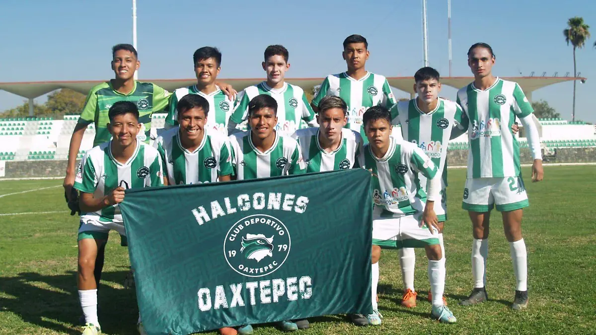halcones