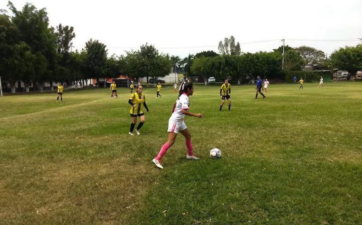 femenil-liga-interclubes