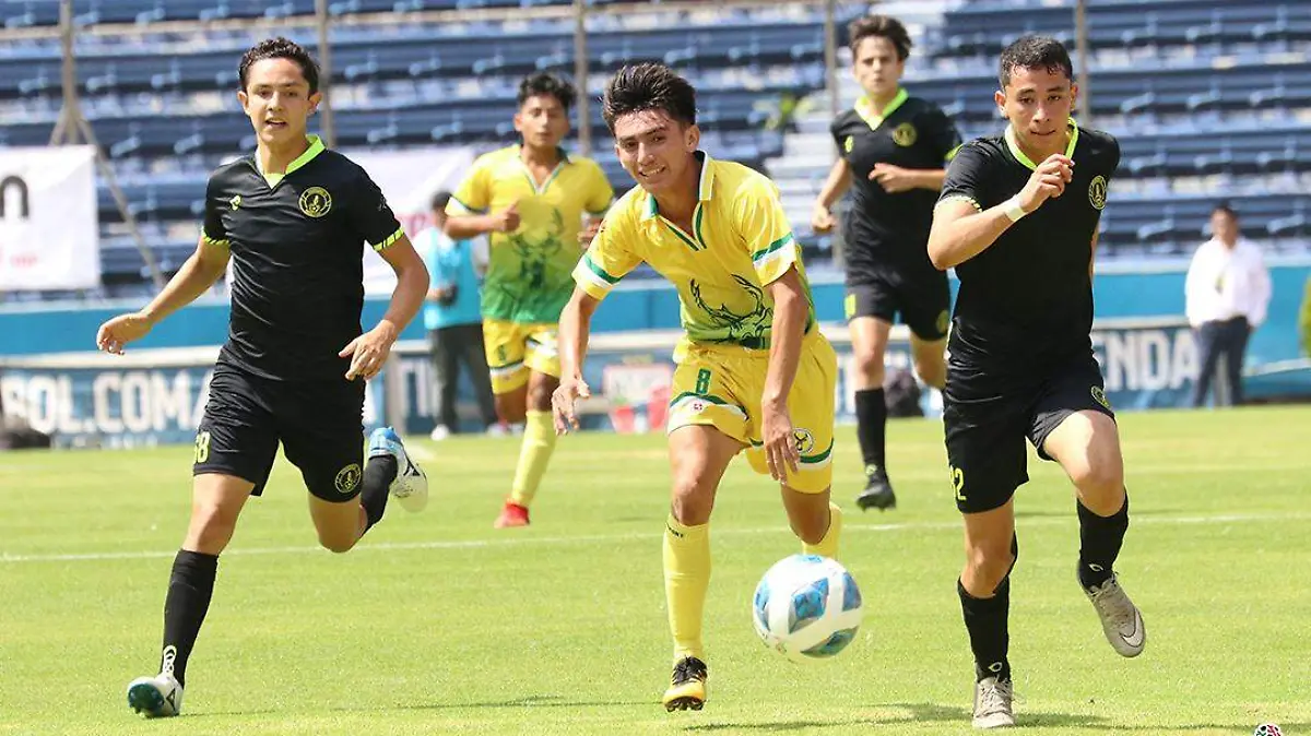 inicia-registro-liga-tdp