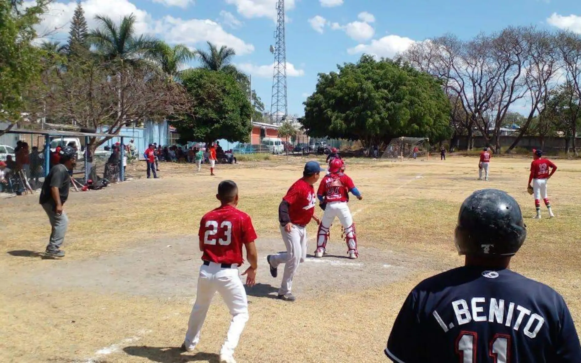 anulan-riunfo-lince-beisbol