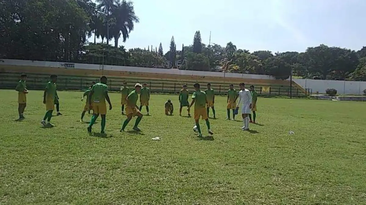 Arroceros-Cuautla-Premier