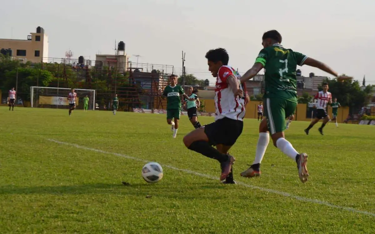 partido-tigres-vs-selva