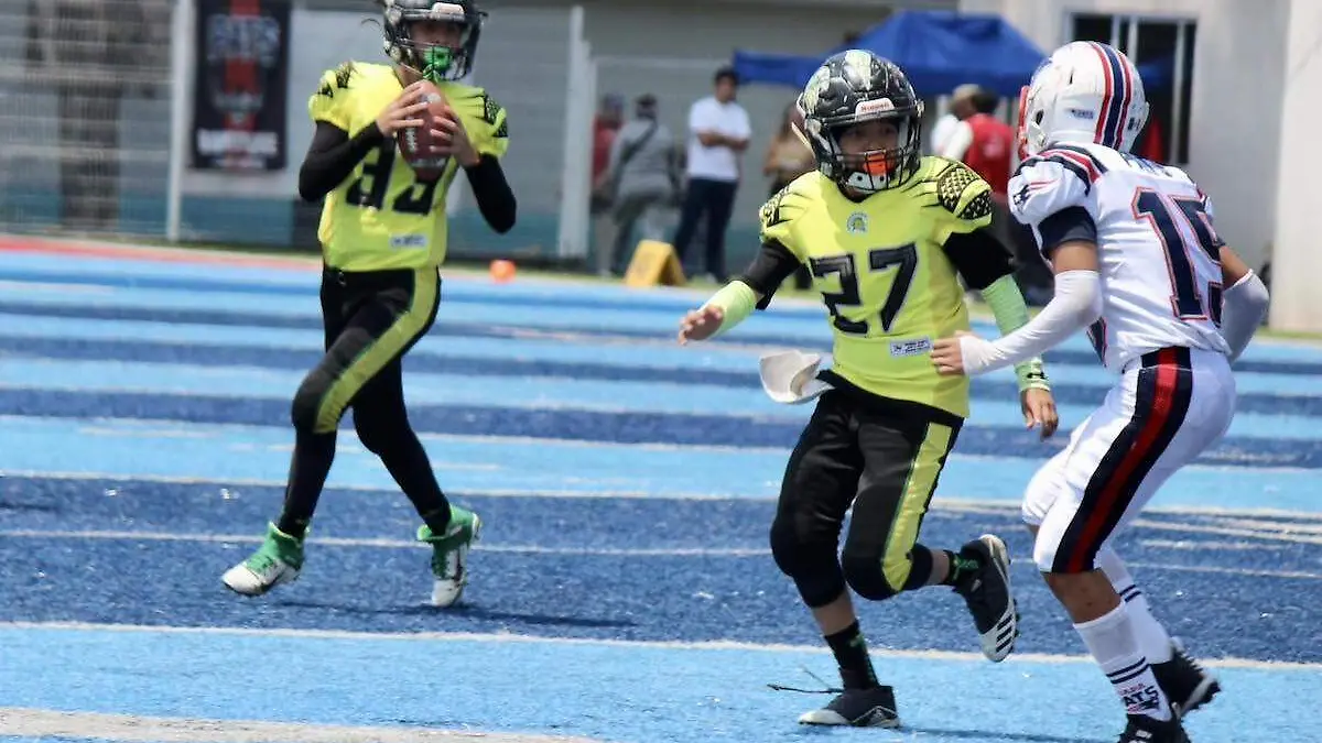 torneo-liga-ofamo-foto-cortesia