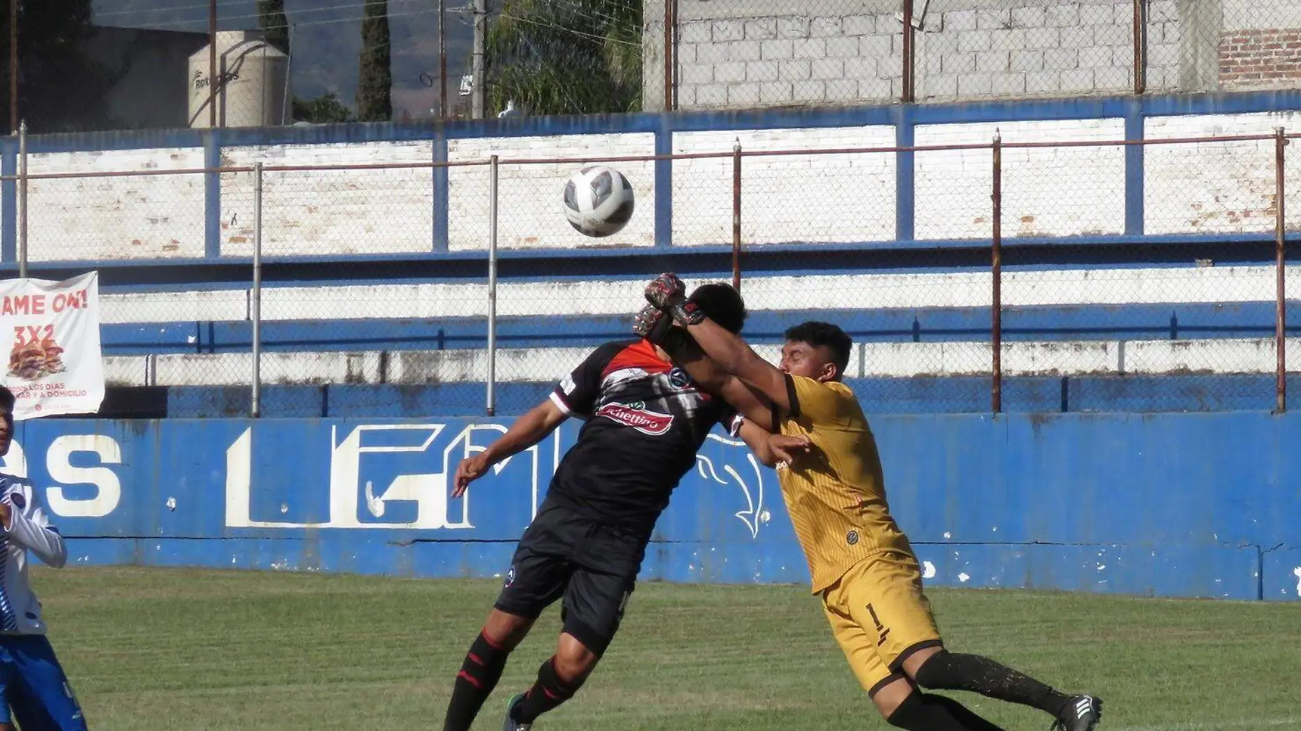 caen-escorpiones-cortesía