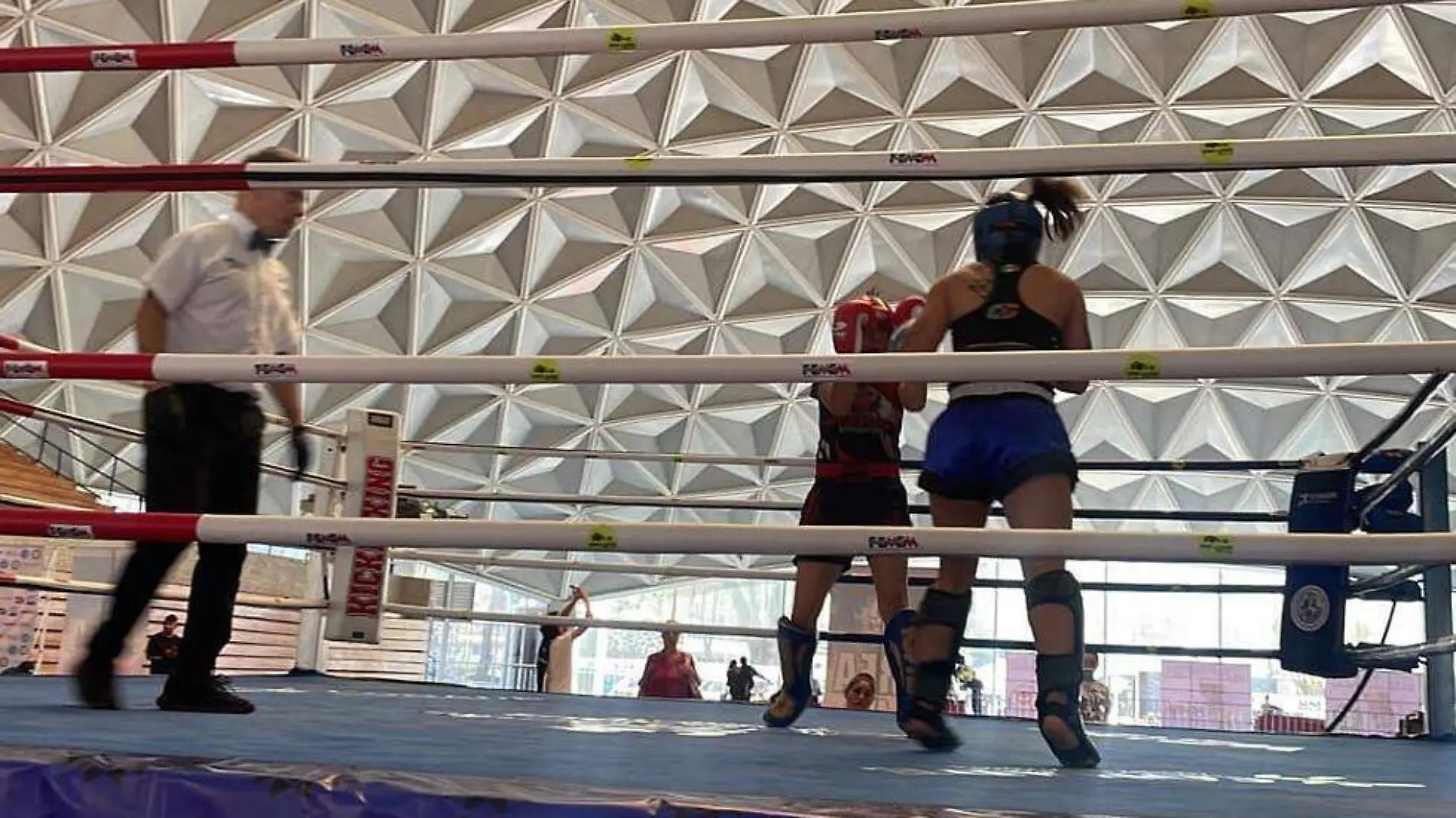 combate-box-morelos-foto-cortesia-asociacion-kickboxing-morelos