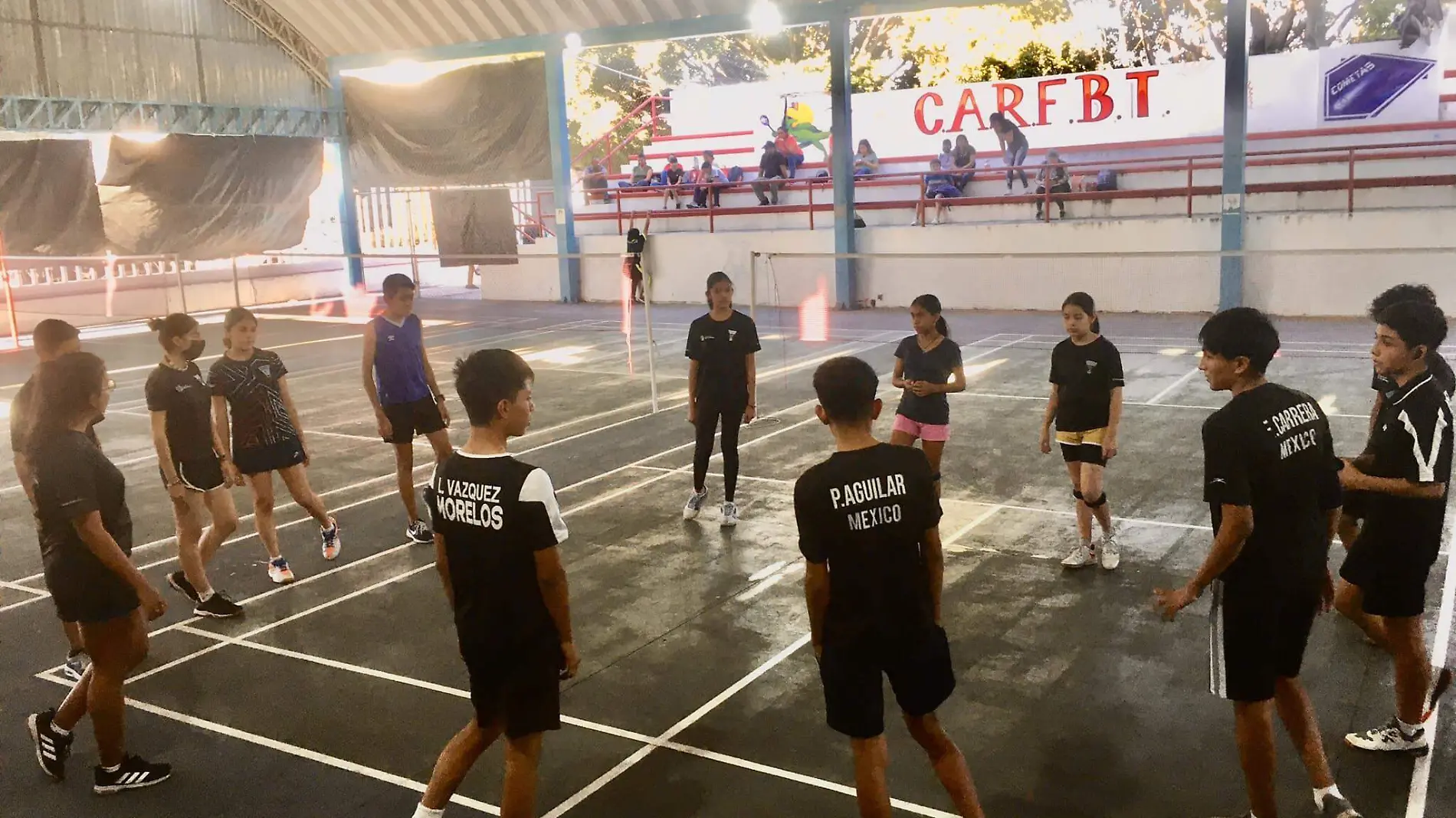 bagminton