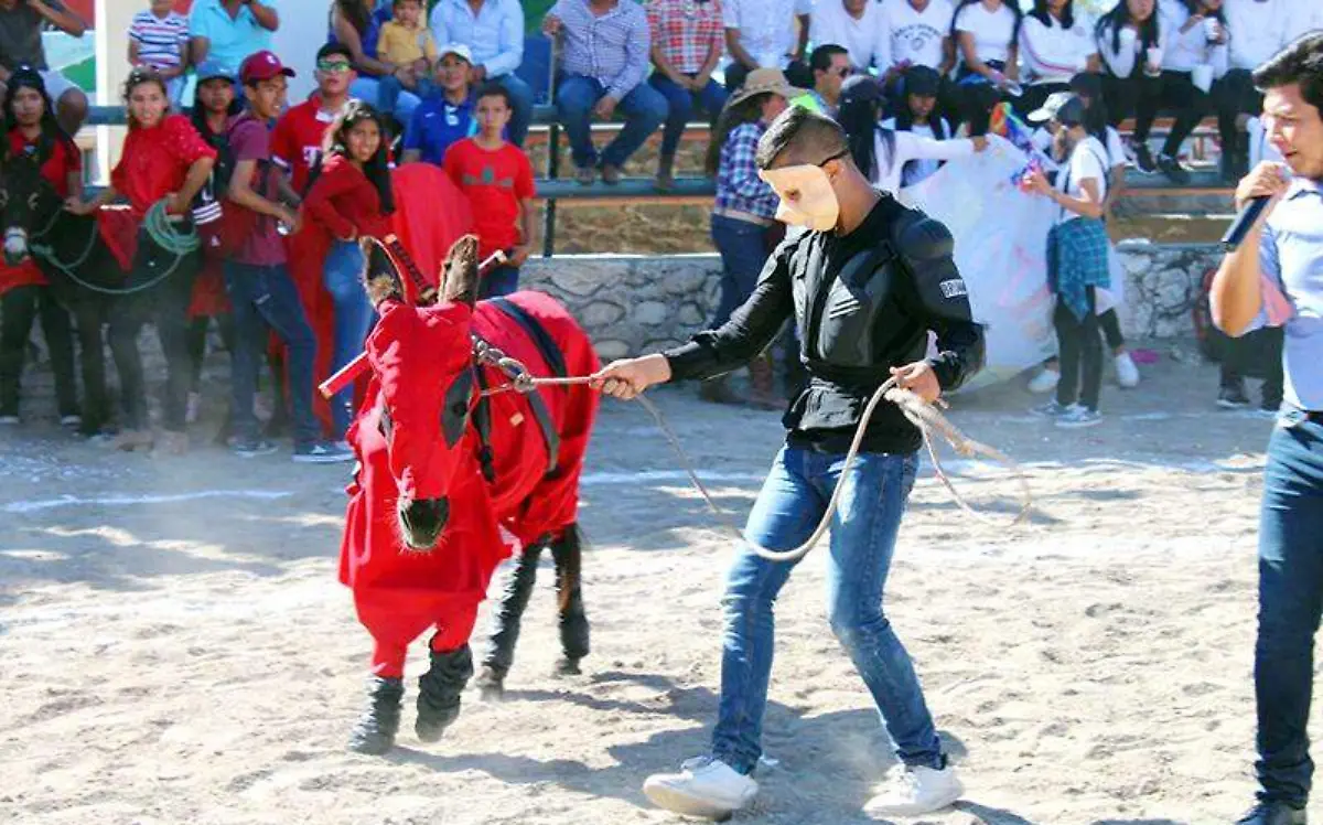 Celebran carrera de burros