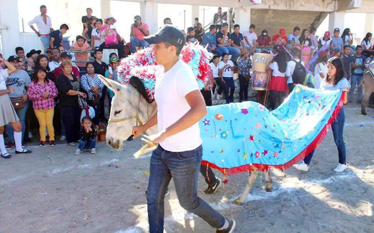 Celebran carrera de burros