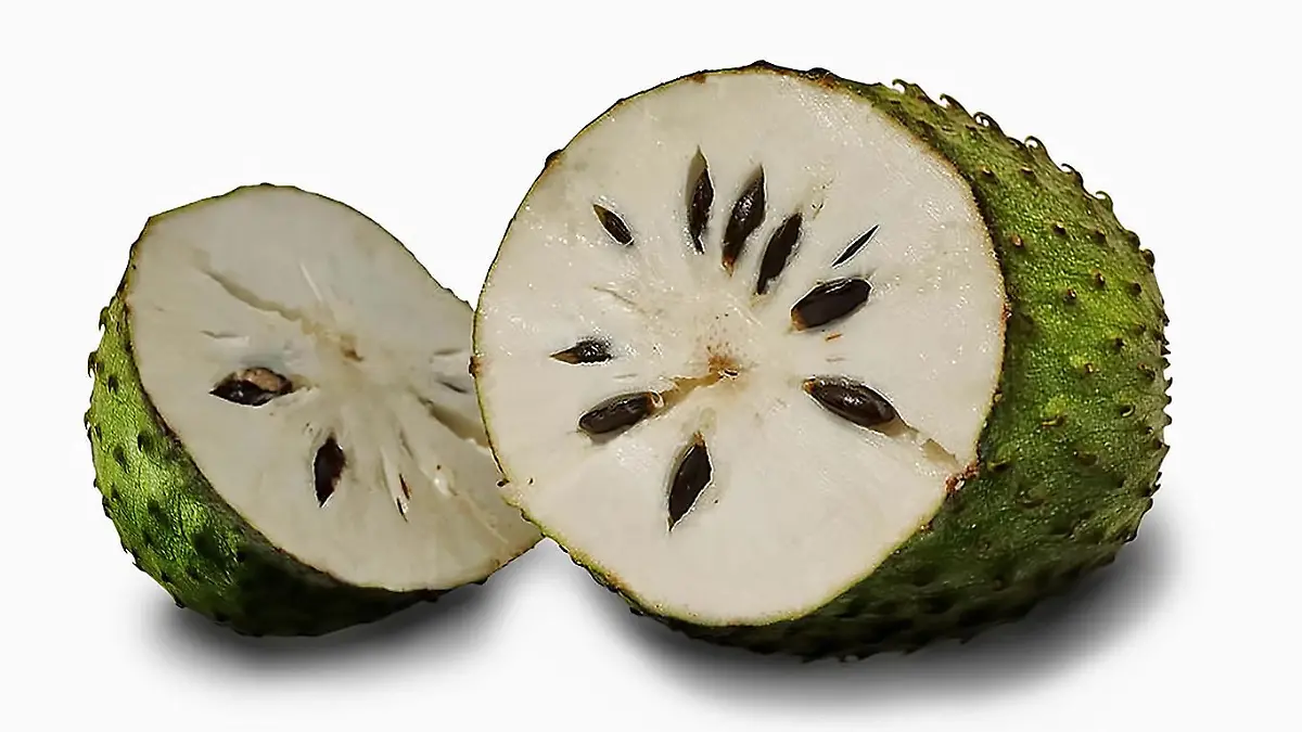 Guanabana (Annona muricata)