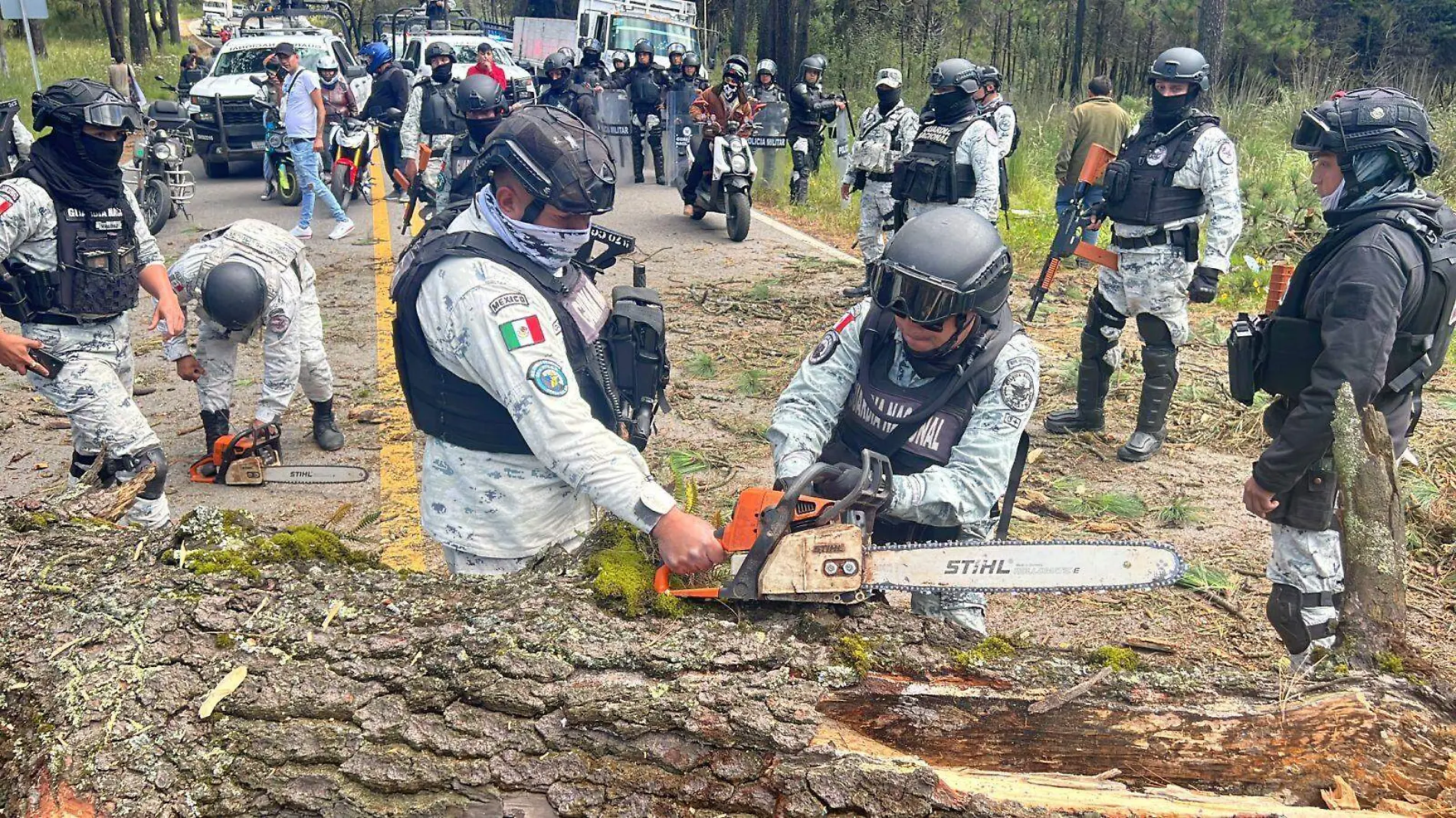 guardia-nacional-aserradero-morelos