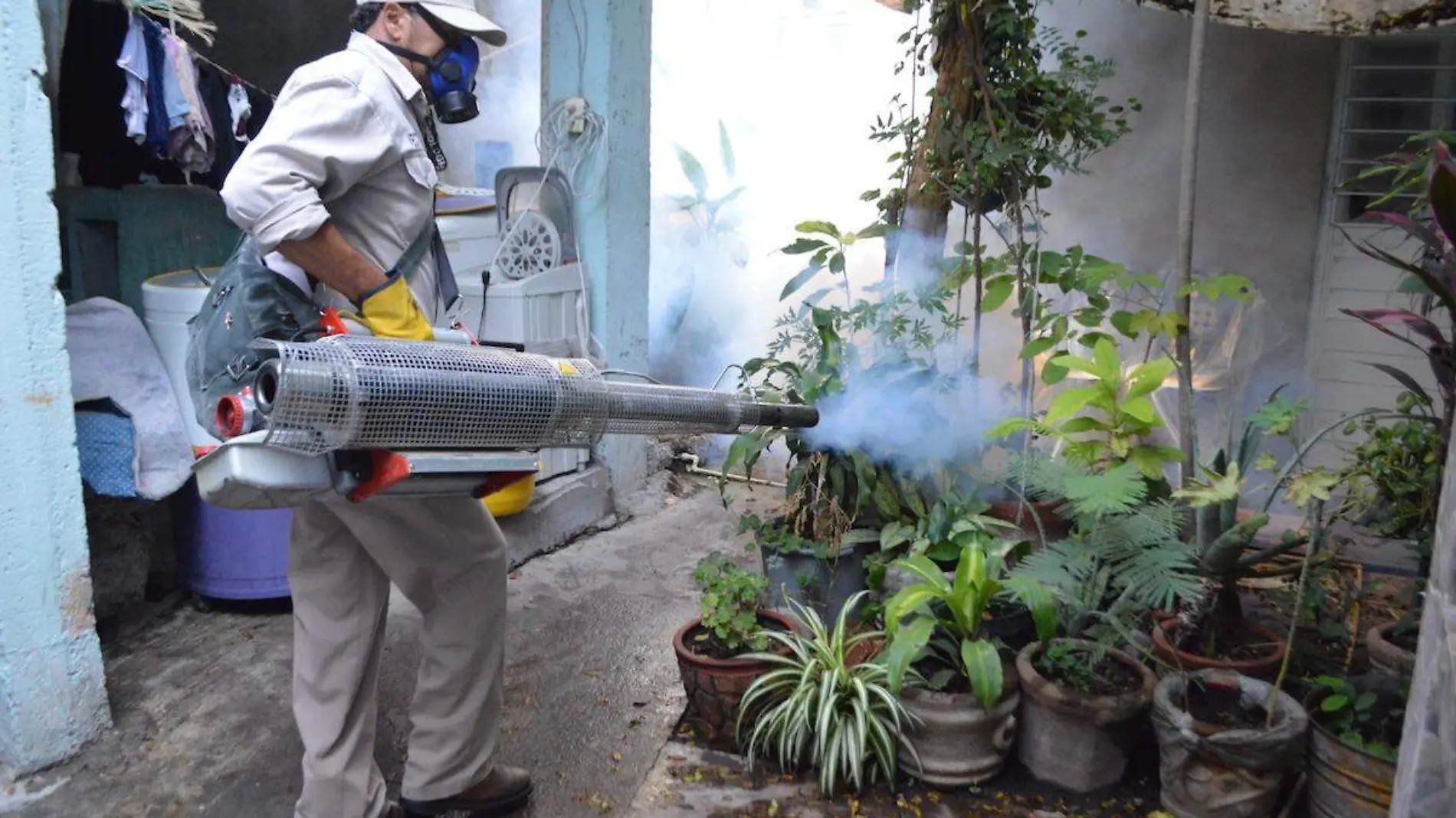 nebulizacion-criaderos-moscos-transmisores-dengue-foto-archivo