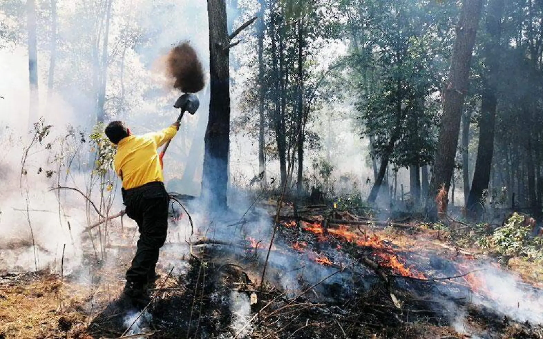 incendios-forestales-morelos