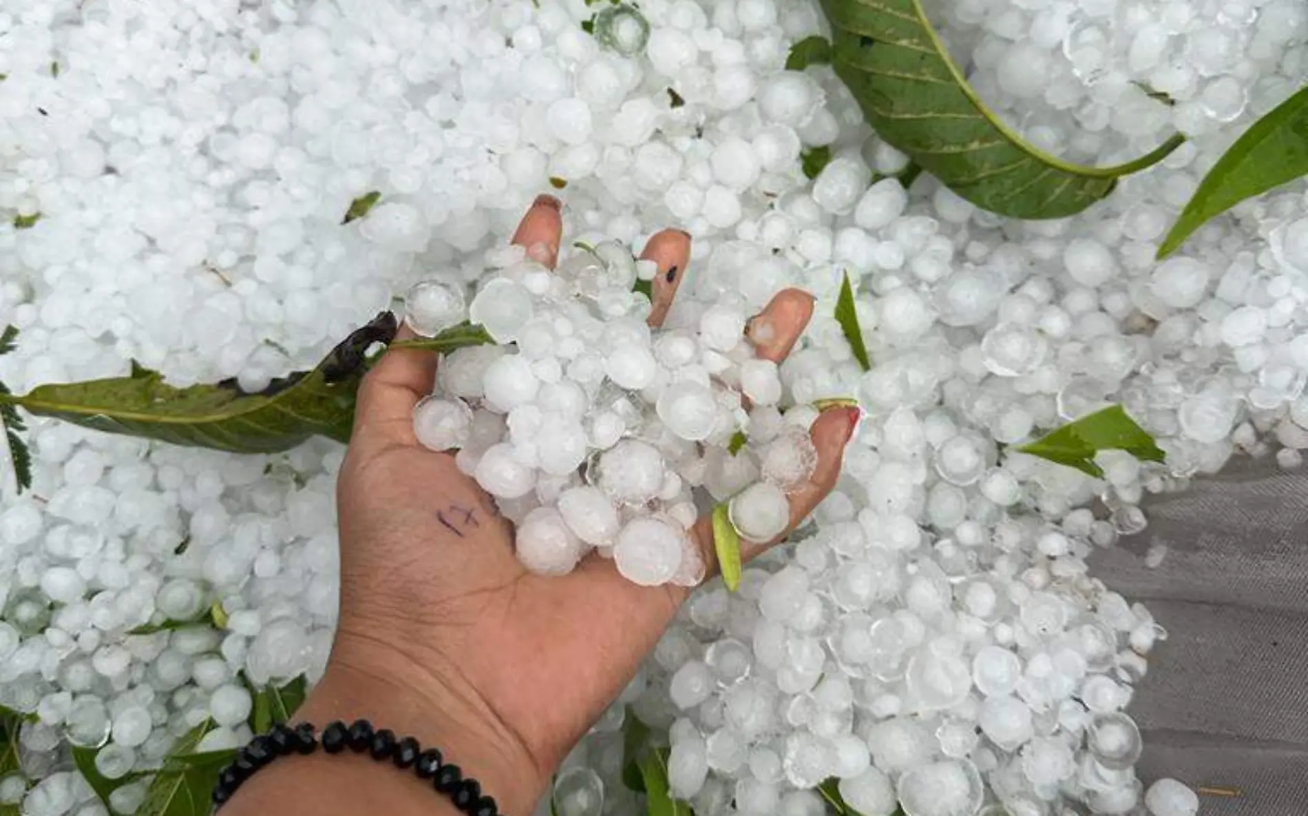 granizada-tepalcingo-