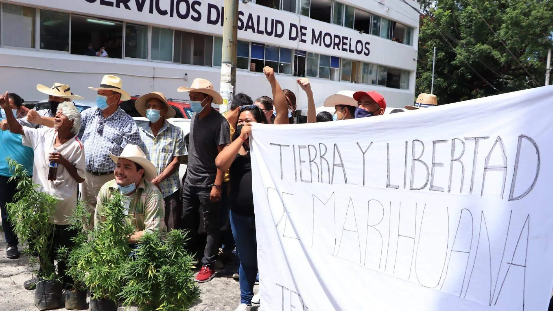 tierra-y-libertad-uso-lúdico-marihuana