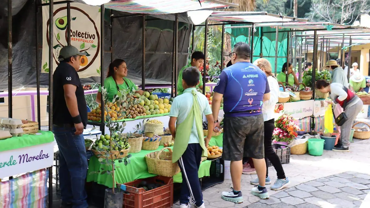 mercadito-verde-chapultepec-cuernavaca-uis