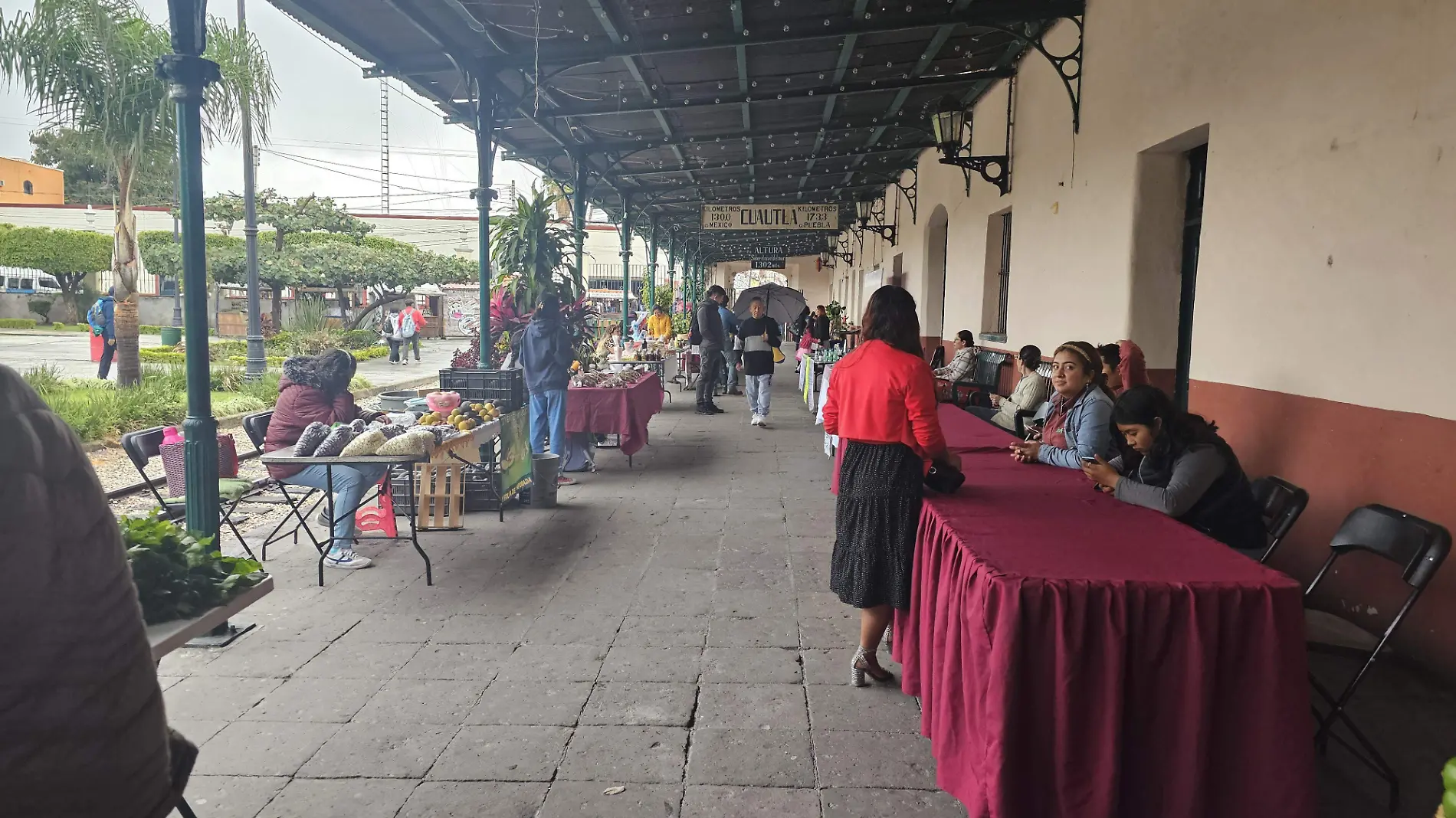 tren-escenico-cuautla