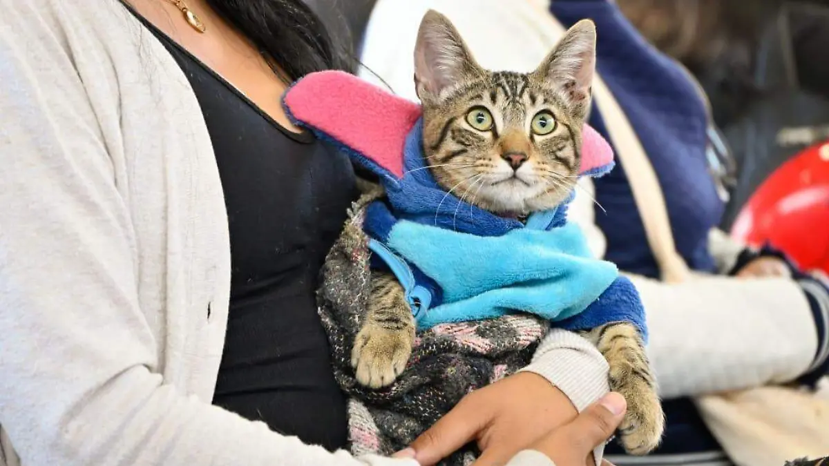 WhatsApp Image 2025-01-19 at 12.25.34 PM (1)