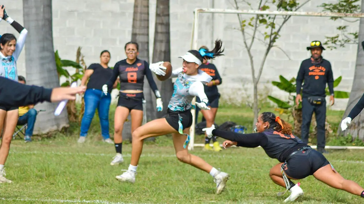 partido-femenil-tocho-bandera