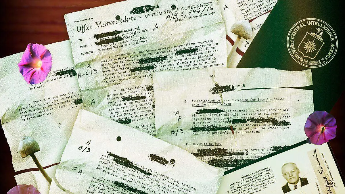 CIA-Investigación (1)