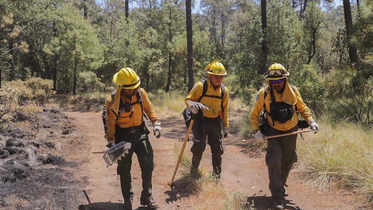 comabtientes-de-incendios