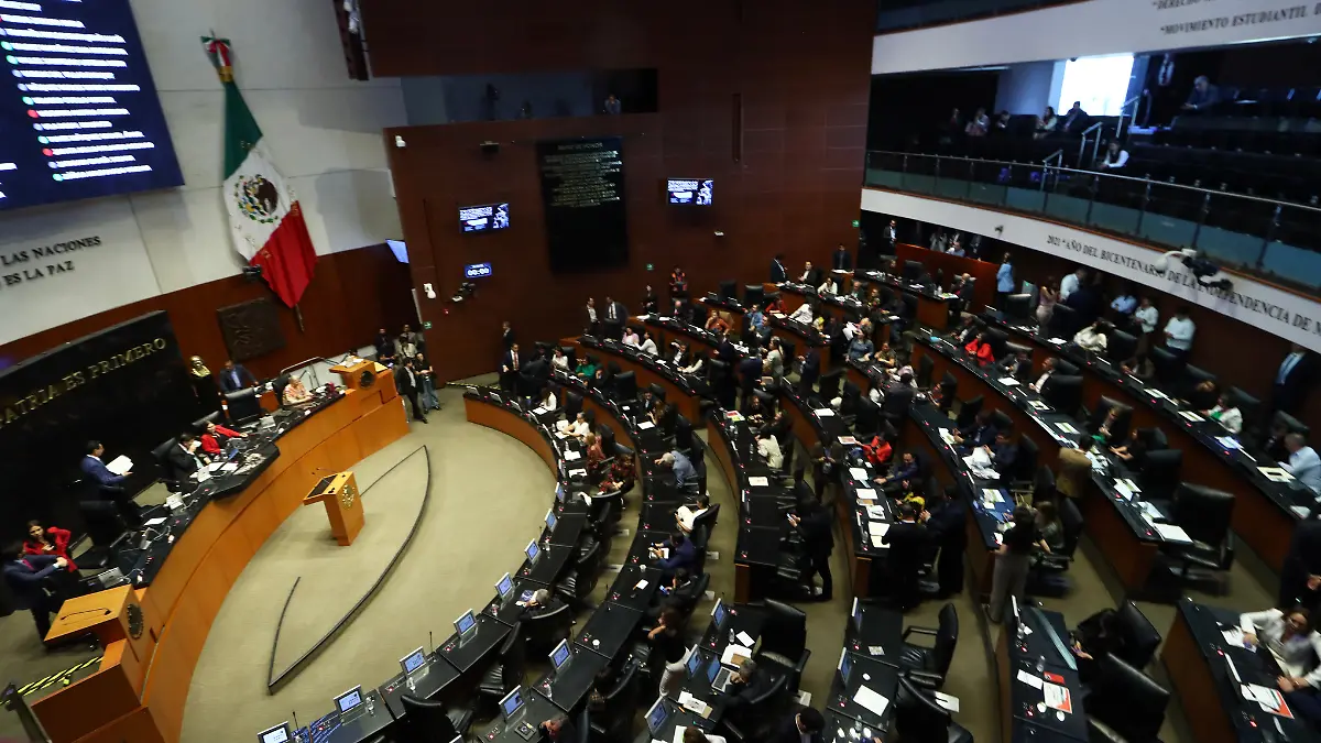 Senado (8)