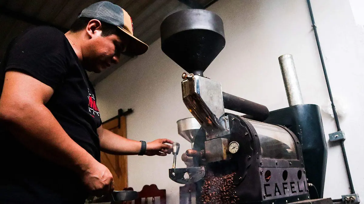 958917_Cafetaleros de Chiapas_web