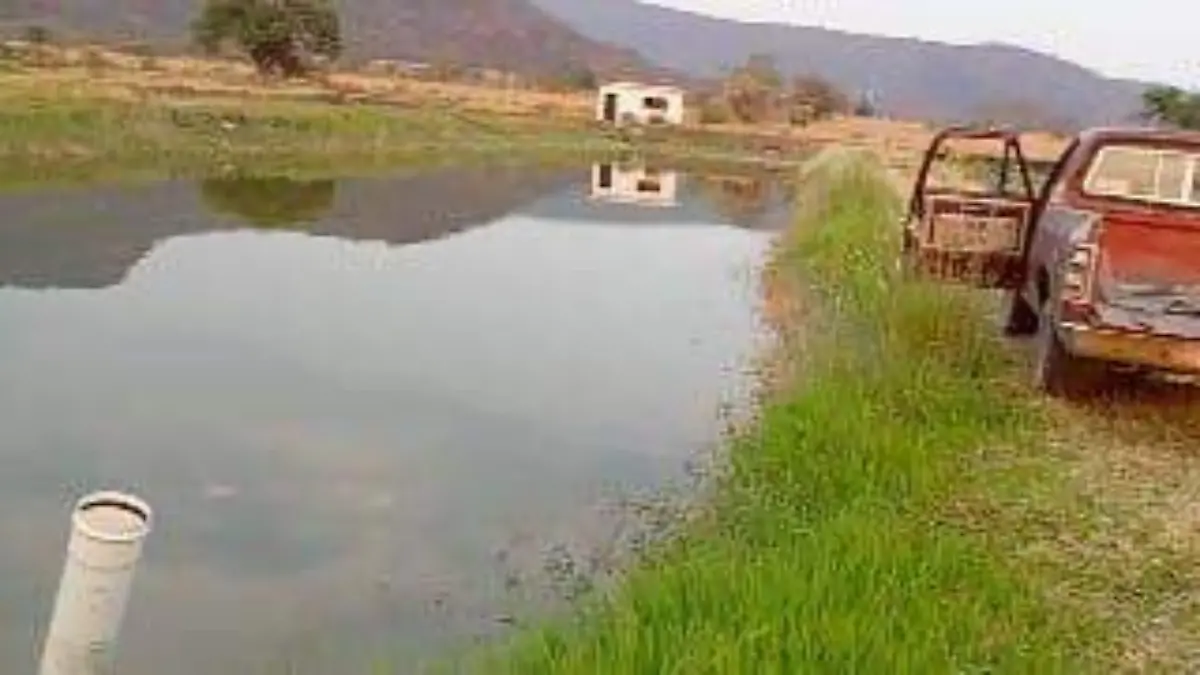 WhatsApp Image 2025-05-21 at 18.44.49