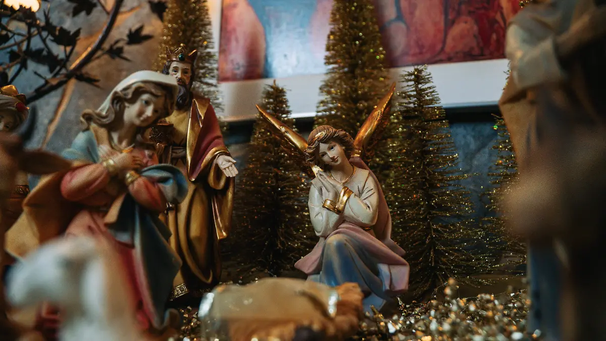 pexels-doouglasma-19403309