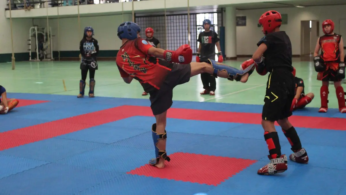 seleccion-kickboxing