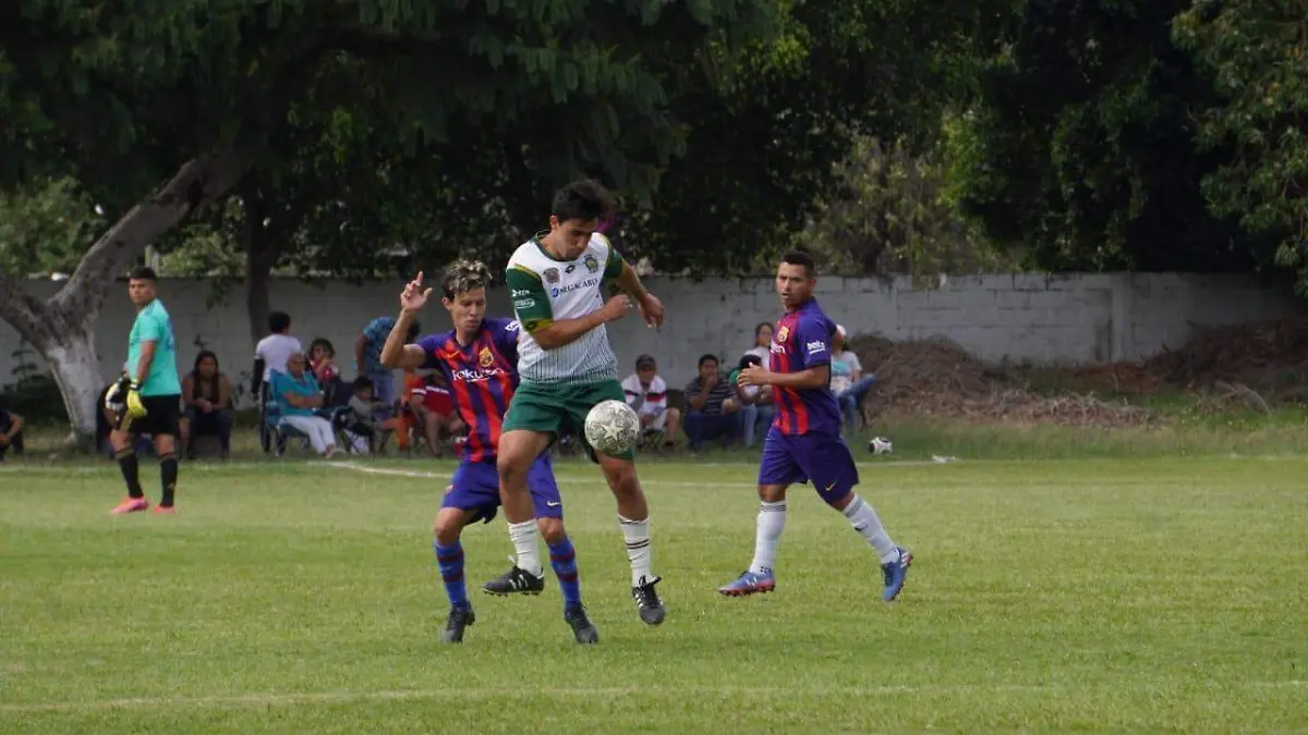 liga-de-temoac