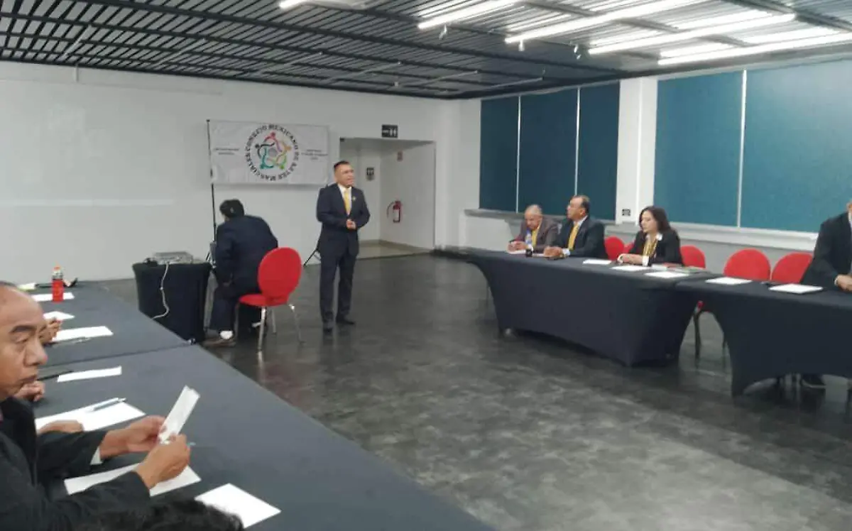 crean-consejo-de-mexicano-de-artes-marciales