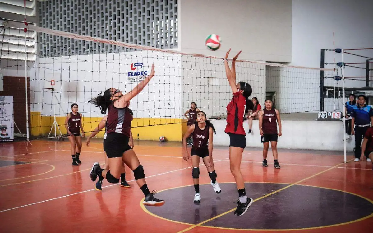 partido-voleibol-conade