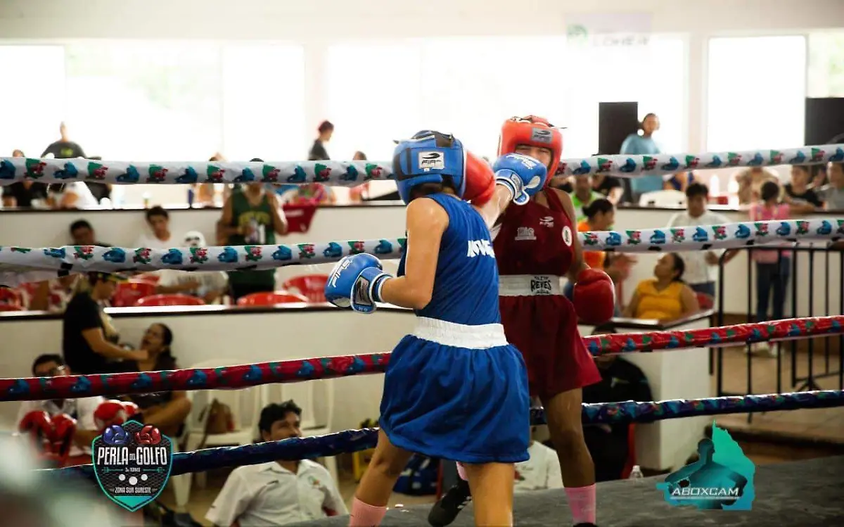 torneo-de-boxeo-perla-del-golfo-cortesia