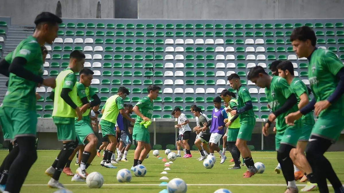 escorpiones-de-zacatepec