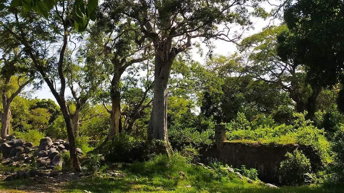 medio-ambiente-cuautla-curso-de-ecologia-cortesia
