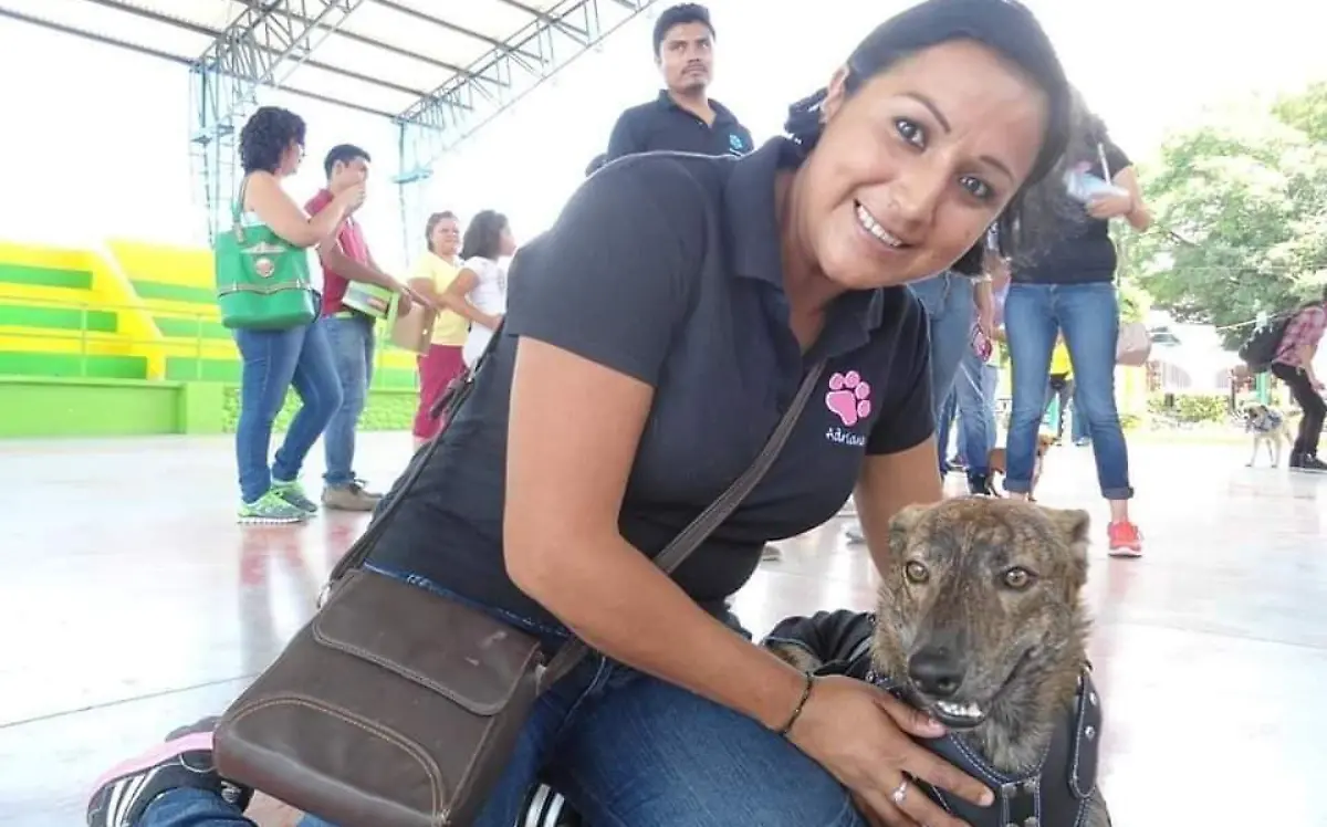 muere-lucky-perrito-cuyo-rescate-conmovió-a-cuautla