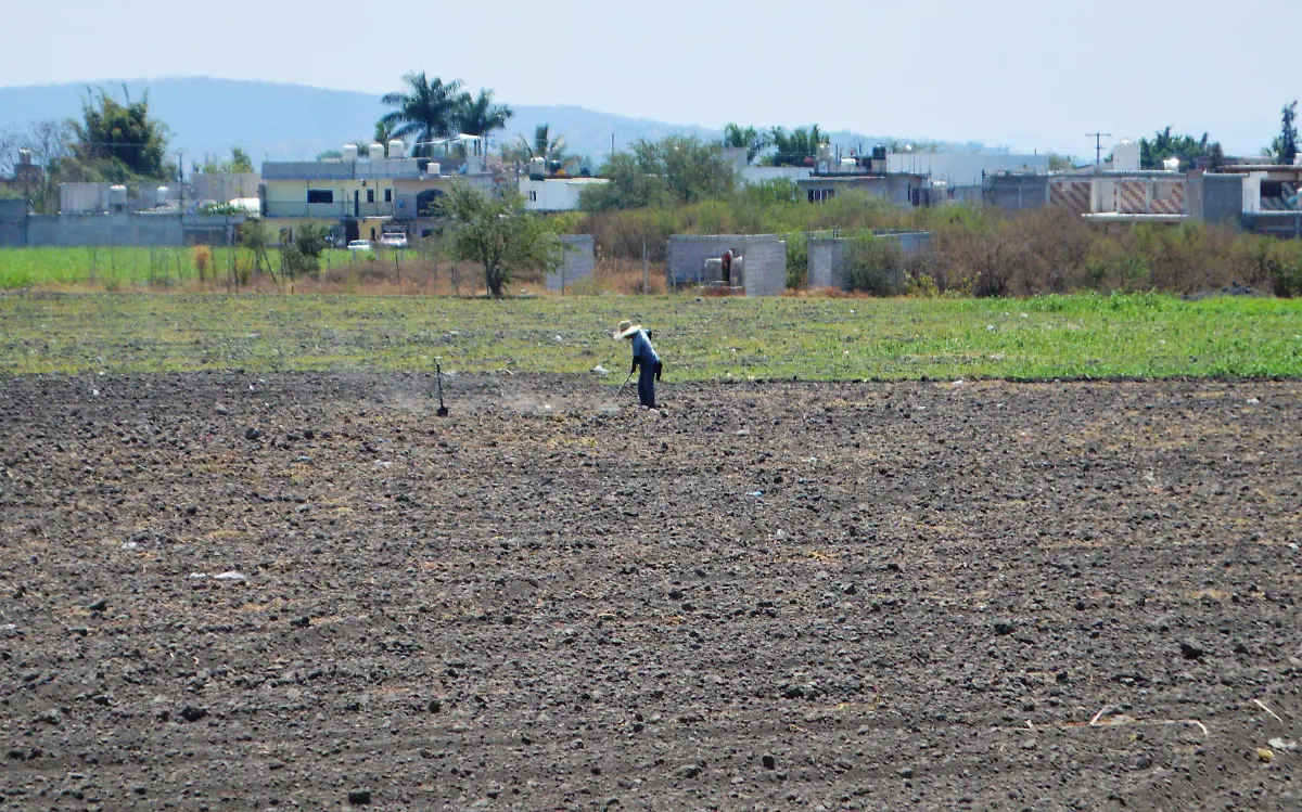 campesino-de-la-region-oriente-afectaciones-de-la-canicula-gude