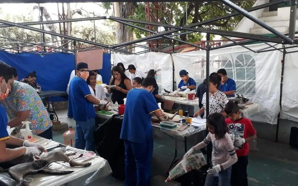 jornada-de-esterilización