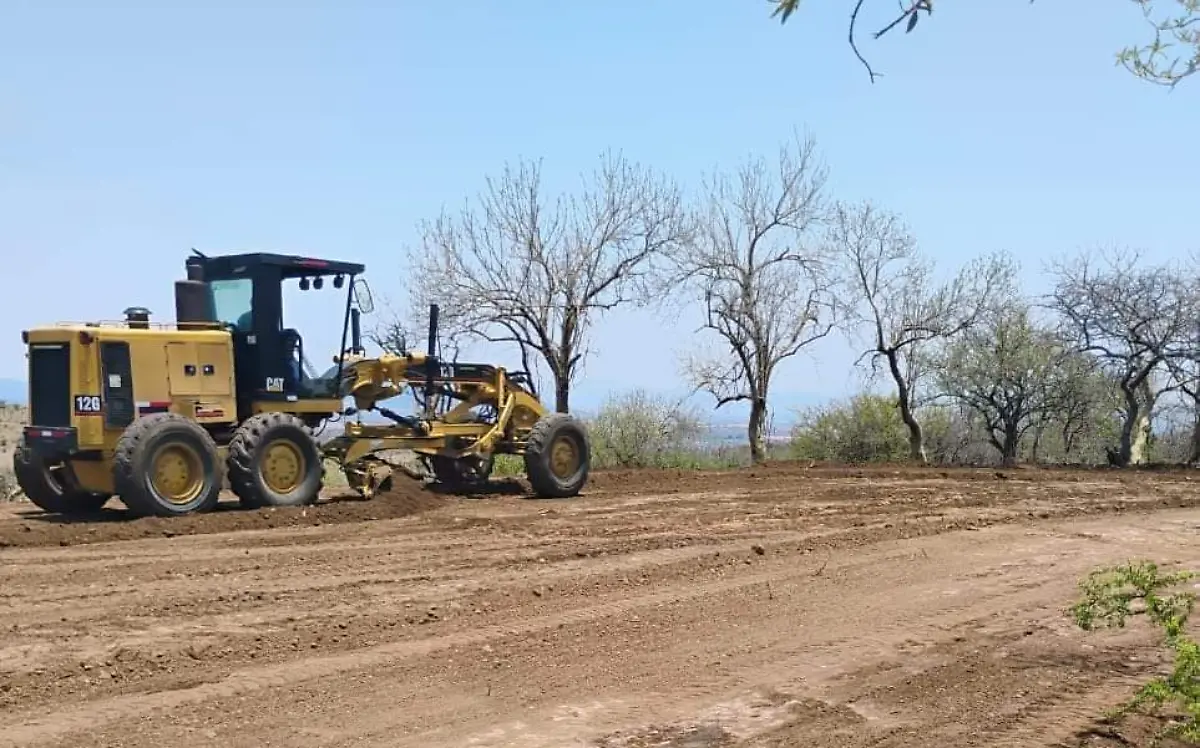 reforestacion-campo-yecapixtla