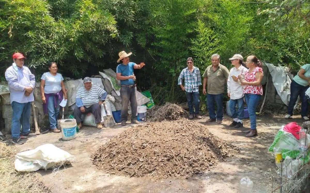 baños-secos-propuesta-cuautla