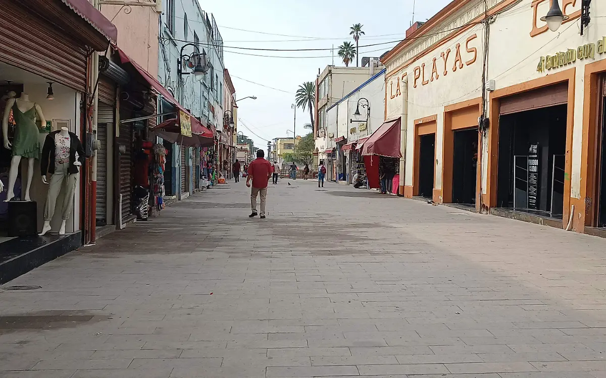 IMG_20221026_105101649