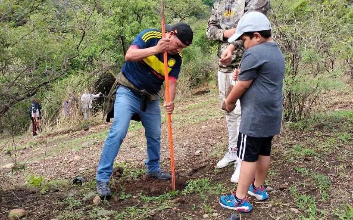 cerro-del-chumil-reforestación 2