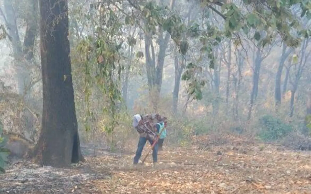 incendio-en-totolapan (1)