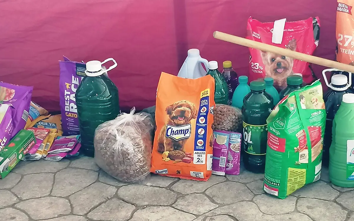 recolectan-comida-para-mascotas-de-acapulco